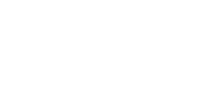 Media Connect